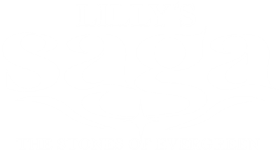 Lilly's Saga: The Stones of Evergreen - Clear Logo Image