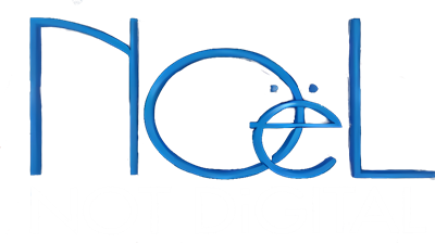 NOeL: Not Digital - Clear Logo Image