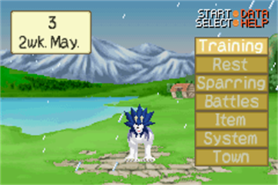 Monster Rancher Advance 2 - Screenshot - Gameplay Image