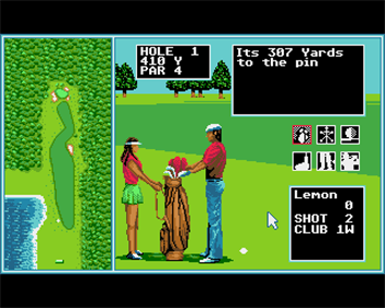Tournament Golf - Screenshot - Gameplay Image