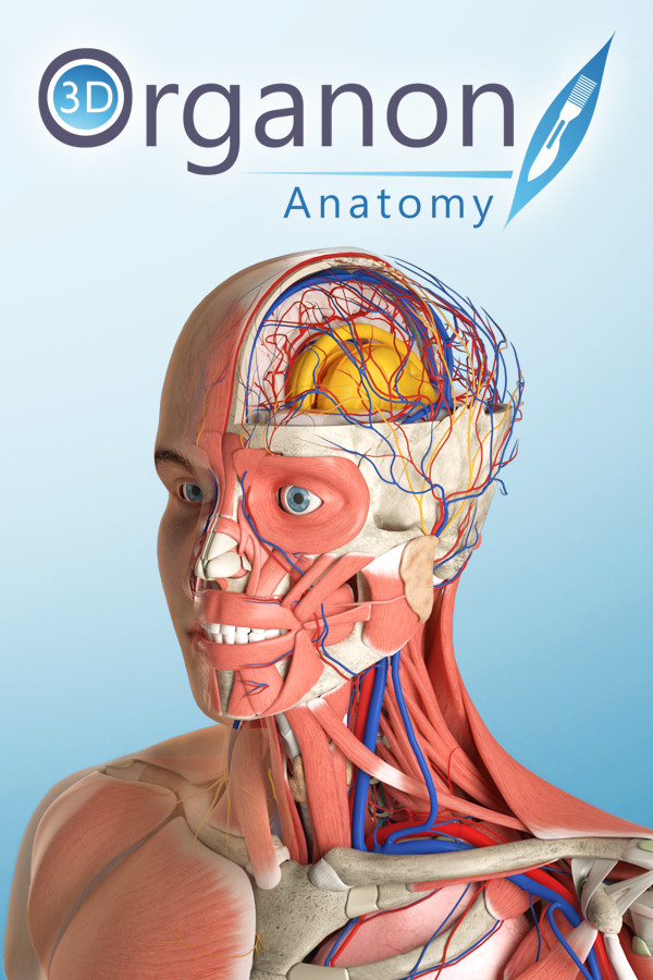 3D Organon Anatomy