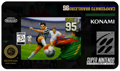 Campeonato Brasilieiro 95: 30 Anos