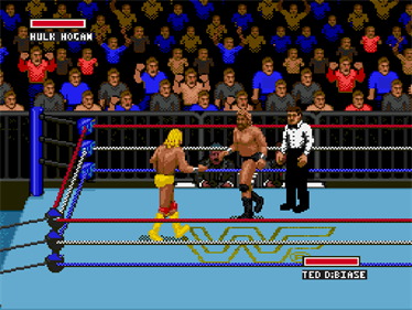 WWF Super WrestleMania - Screenshot - Gameplay Image