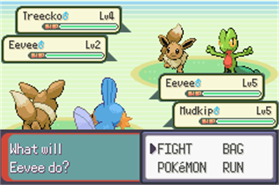 Pokémon Emerald Double Version - Screenshot - Gameplay Image