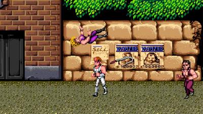 Double Dragon Reloaded: Alternate Edition - Screenshot - Gameplay Image