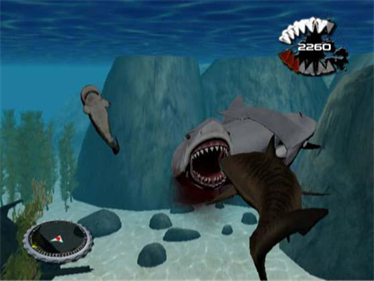 JAWS: Ultimate Predator - Screenshot - Gameplay Image