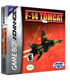 F-14 Tomcat - Box - 3D Image