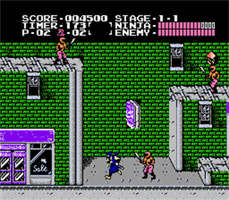 Ninja Gaiden: Virgin Edition - Screenshot - Gameplay Image