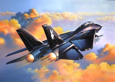 F-14 Tomcat - Fanart - Background Image