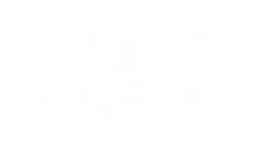 Shining in the Darkness - Clear Logo Image