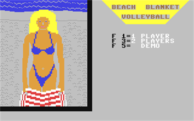 Beach Blanket Volleyball - Screenshot - Game Title Image
