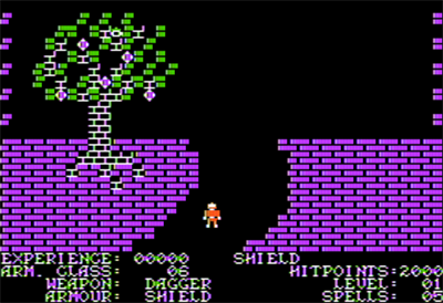 Sword of Kadash - Screenshot - Gameplay Image