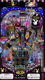 Playboy (Stern) - Screenshot - Gameplay Image