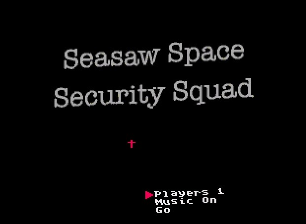 Seasaw Space Security Squad