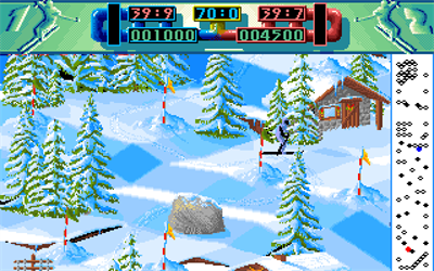 Advanced Ski Simulator - Screenshot - Gameplay Image