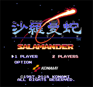 Salamander: Arrangement Chronicle DELTA - Screenshot - Game Title Image