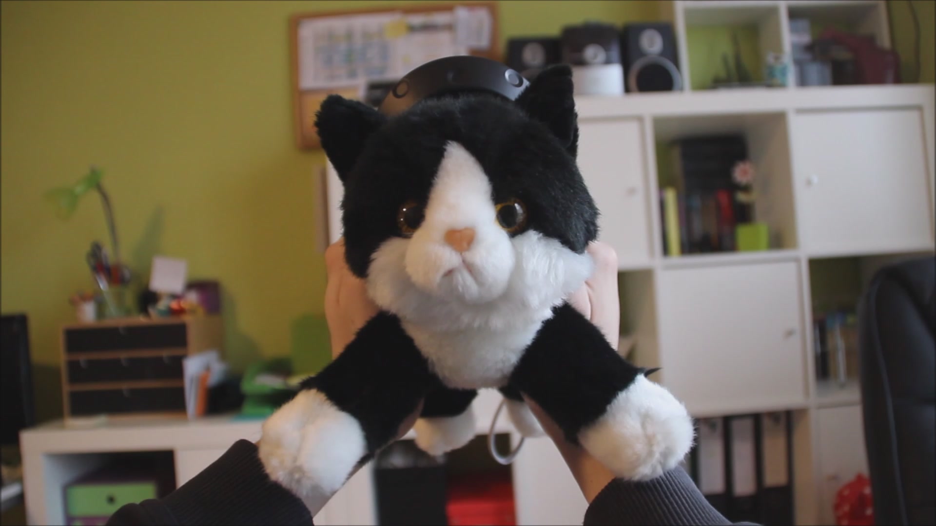 Konrad the Kitten