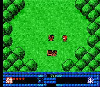 Jajamaru Gekimaden: Maboroshi no Kinmajou - Screenshot - Gameplay Image