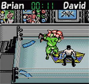 Big Bang Pro Wrestling - Screenshot - Gameplay Image