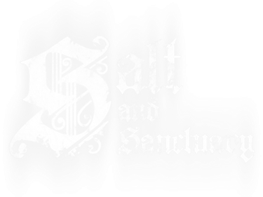 Salt and Sanctuary - Clear Logo Image