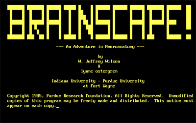 Brainscape - Screenshot - Game Title Image