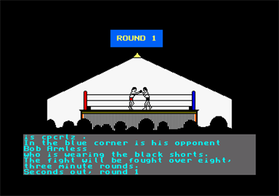 The Boxer - Screenshot - Gameplay Image