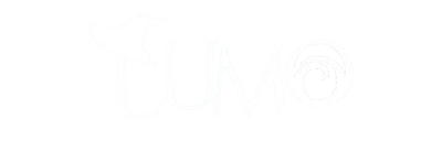Lumo - Clear Logo Image