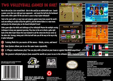 Dig & Spike Volleyball - Box - Back Image