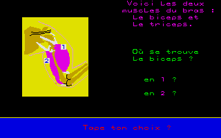 A la decouverte de l'homme