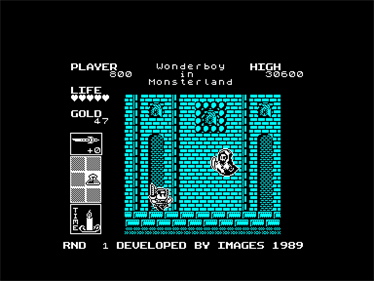 Super Wonder Boy in Monster Land - Screenshot - Gameplay Image