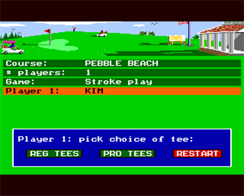Mean 18 - Screenshot - Gameplay Image