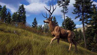 Way of the Hunter - Screenshot - Gameplay Image