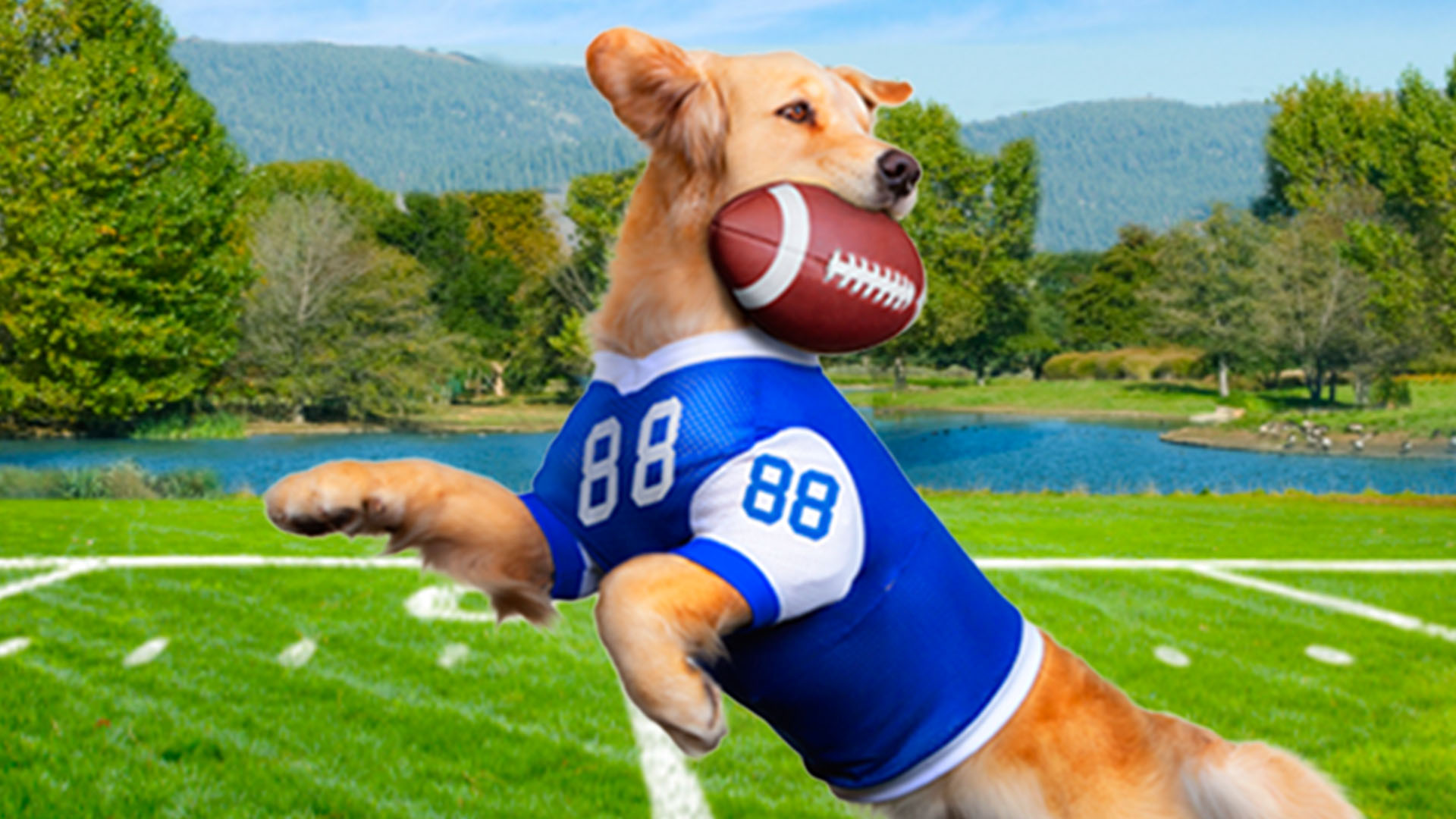 Jerry Rice & Nitus' Dog Football