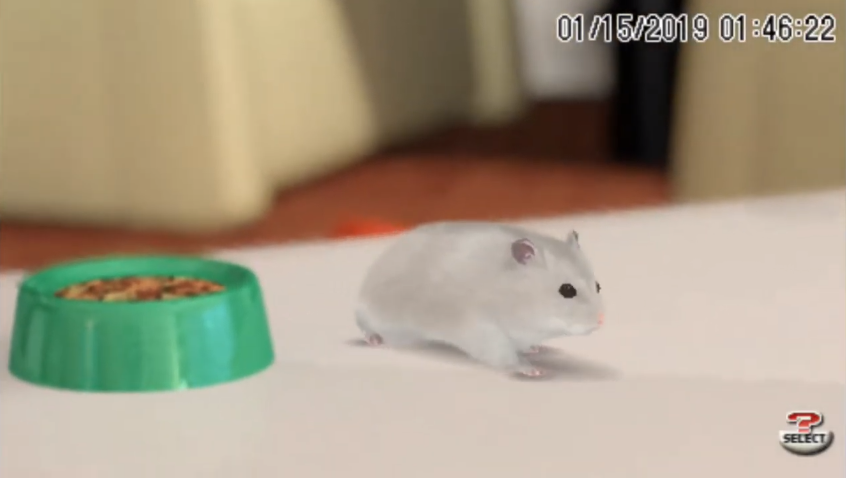 Petz: My Baby Hamster