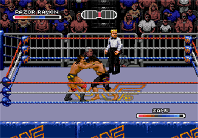 WWF Rage in the Cage - Screenshot - Gameplay Image