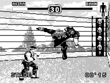 Fighters Megamix - Screenshot - Gameplay Image