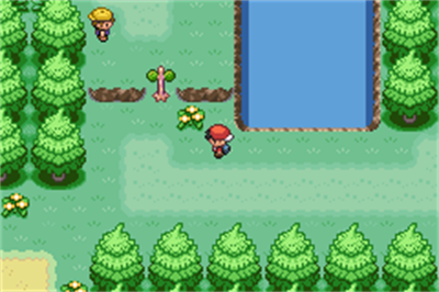 Pokémon Chronicles of Soala - Screenshot - Gameplay Image