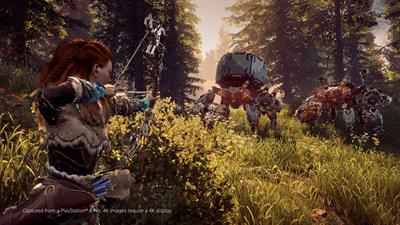 Horizon Zero Dawn: Complete Edition - Screenshot - Gameplay Image