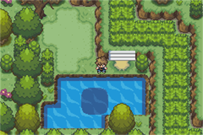 Pokémon Crono - Screenshot - Gameplay Image