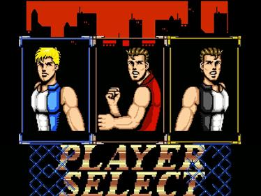 Enter Double Dragon - Screenshot - Game Select Image