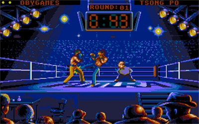Best of the Best: Championship Karate - Screenshot - Gameplay Image