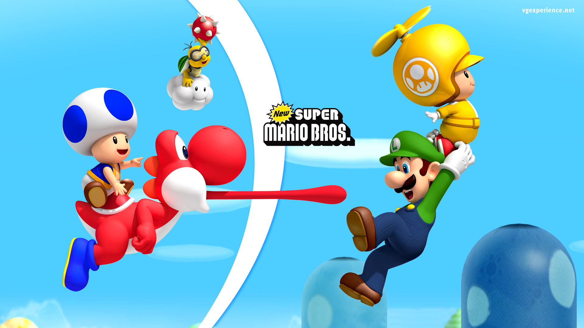 the new super mario brothers wii
