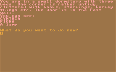 The Secret of St. Brides - Screenshot - Gameplay Image
