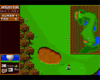 Sensible Golf - Screenshot - Gameplay Image