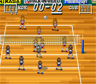 Multi Play Volleyball - Screenshot - Gameplay Image