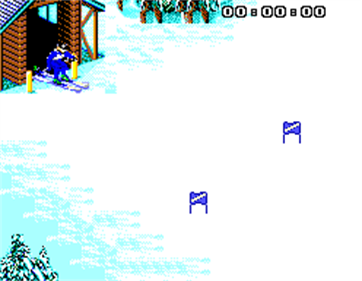 Winter Olympics: Lillehammer '94 - Screenshot - Gameplay Image