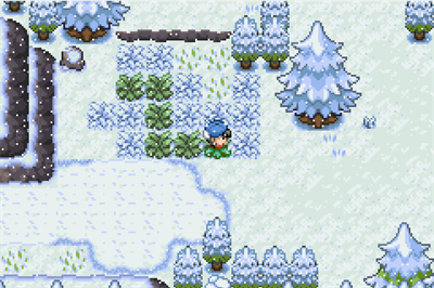 Pokémon Darkfire - Screenshot - Gameplay Image