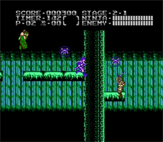 Ninja Gaiden: Dragon Scroll - Screenshot - Gameplay Image