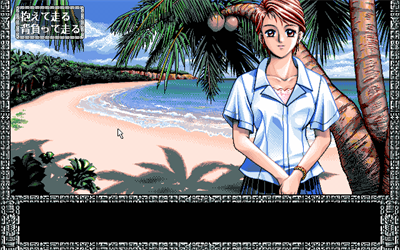 Ushinawareta Rakuen - Screenshot - Gameplay Image
