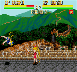 Bishoujo Senshi Lady Fighter - Screenshot - Gameplay Image